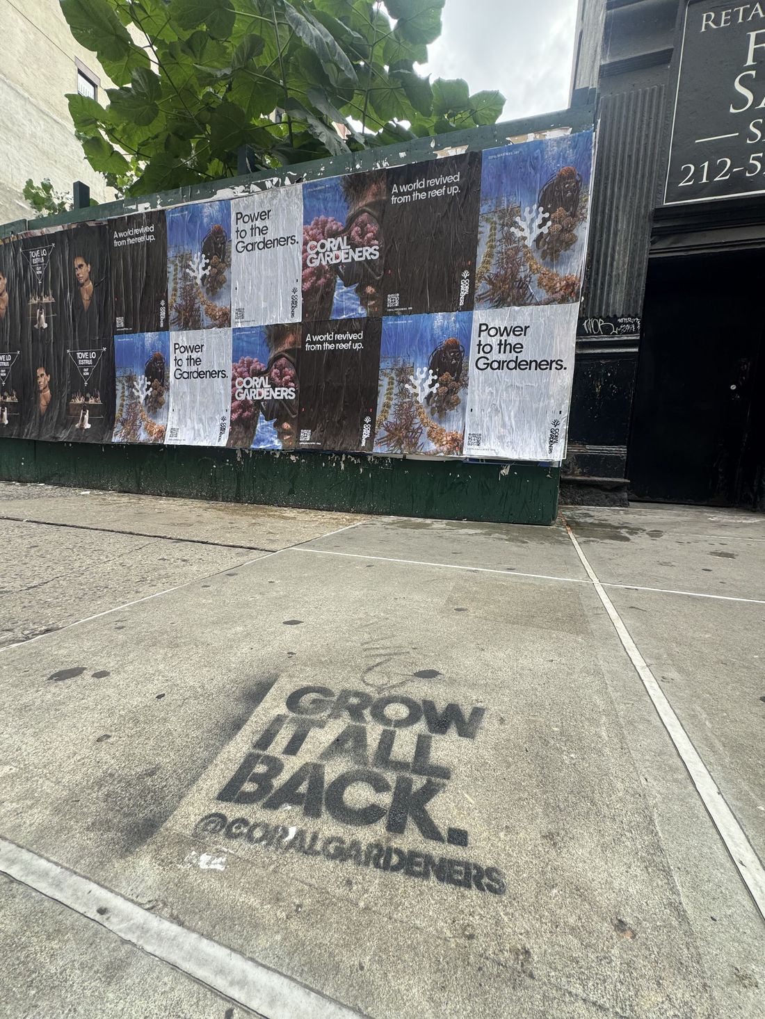 Coral Gardeners wild posters on a New York street, with a Grow it all back stencil on the sidewalk