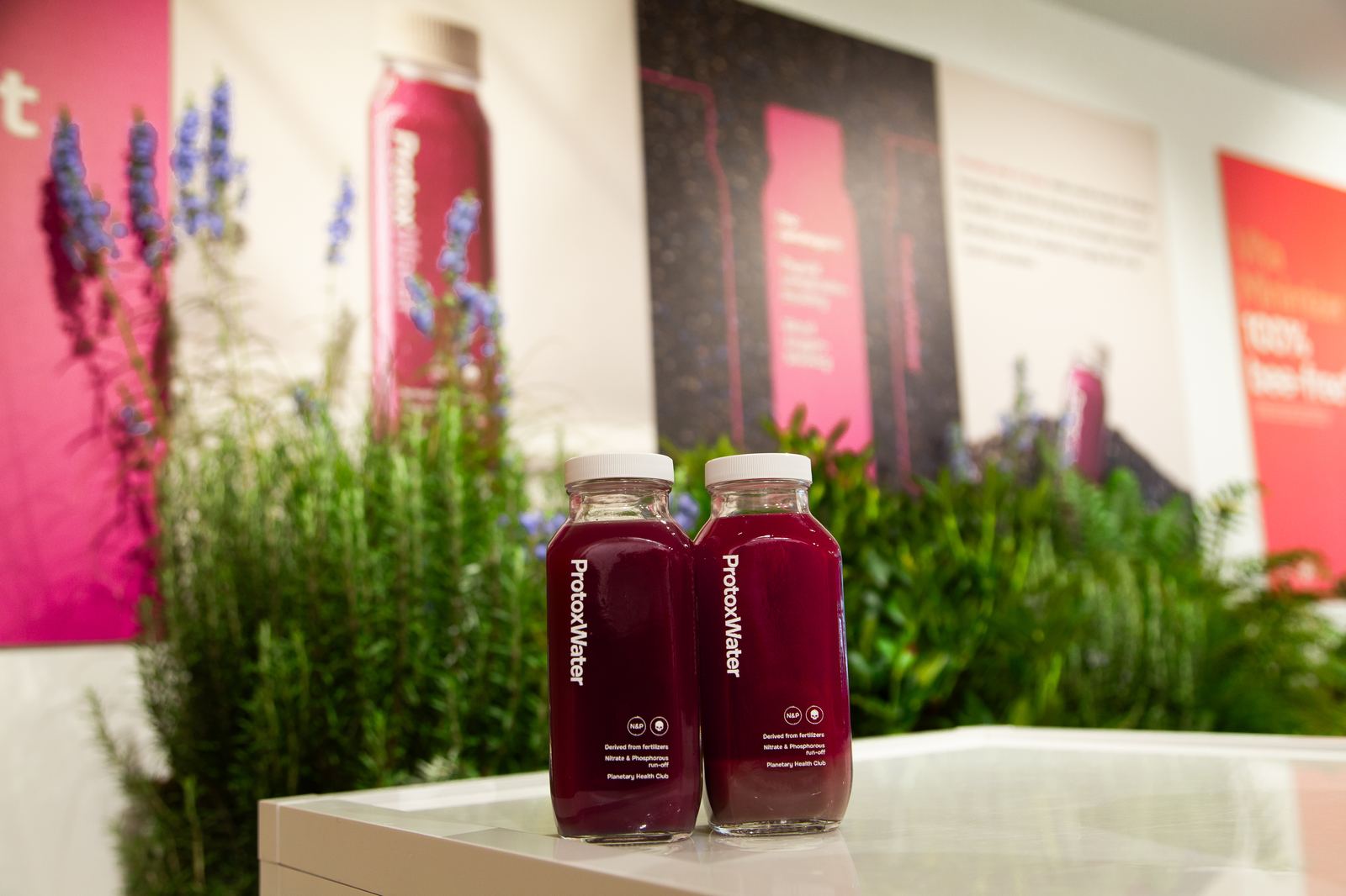 Two Protox Water bottles in front of juice posters and wildflowers