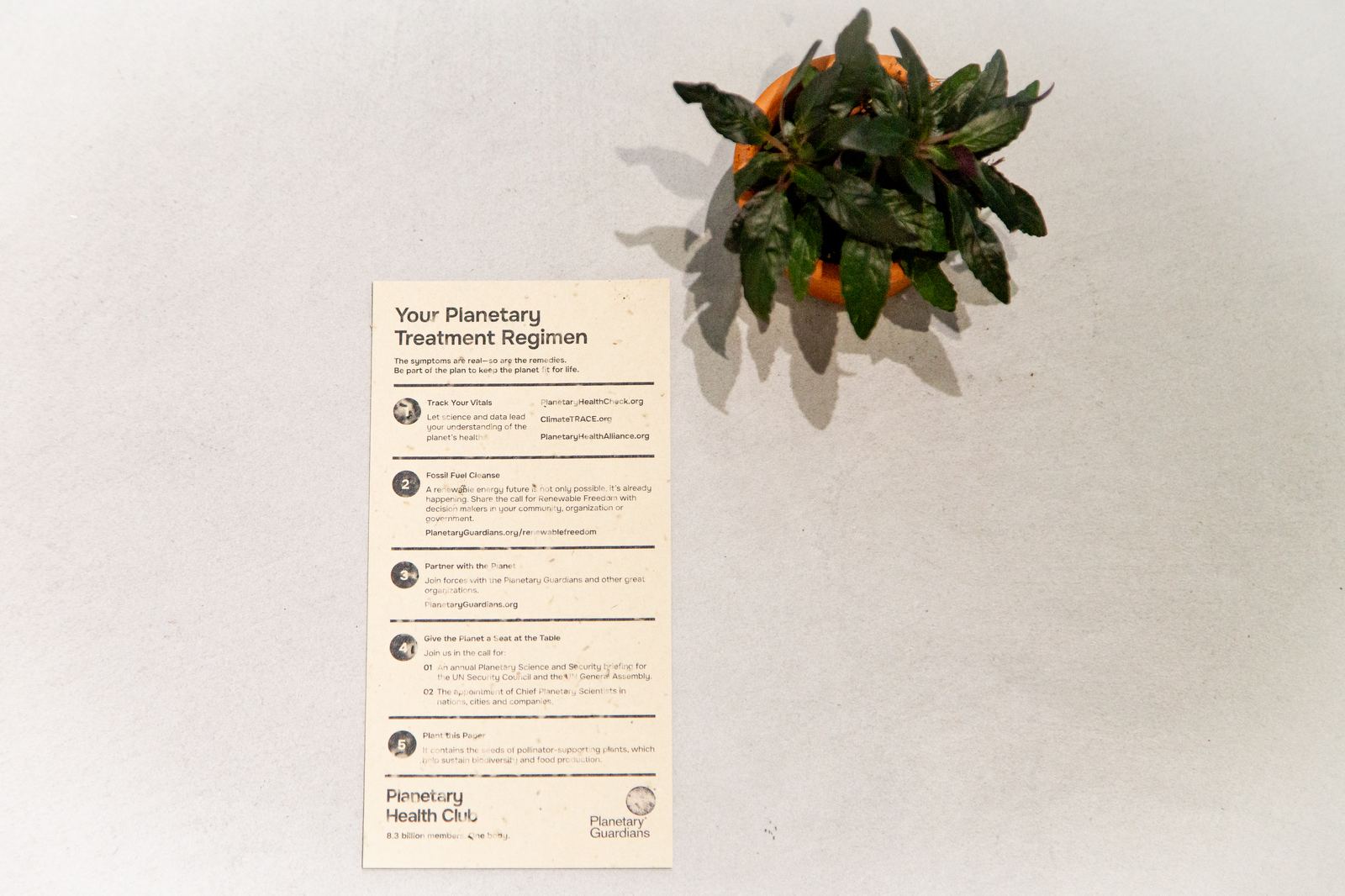 The Planetary Treatment Regimen card printed on seed paper
